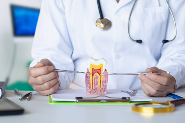 Best Emergency Dentist for Lost Fillings or Crowns in Red Bay, AL